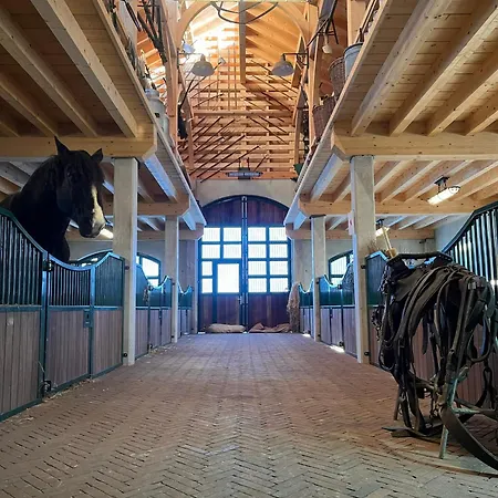 Κάμπινγκ Fuussekaul *