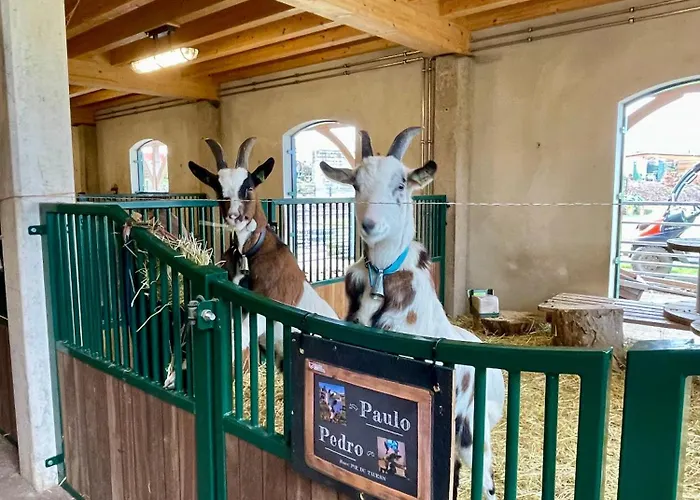 Fuussekaul 캠프장 Heiderscheid