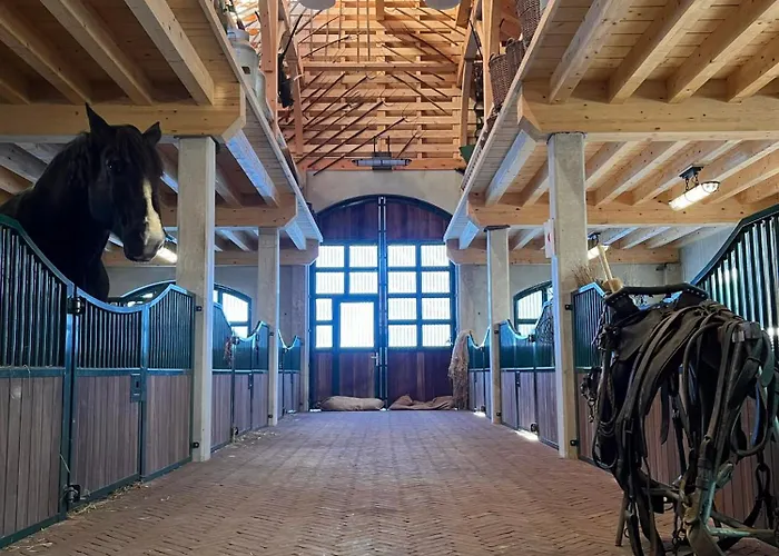 Campeggio Fuussekaul *